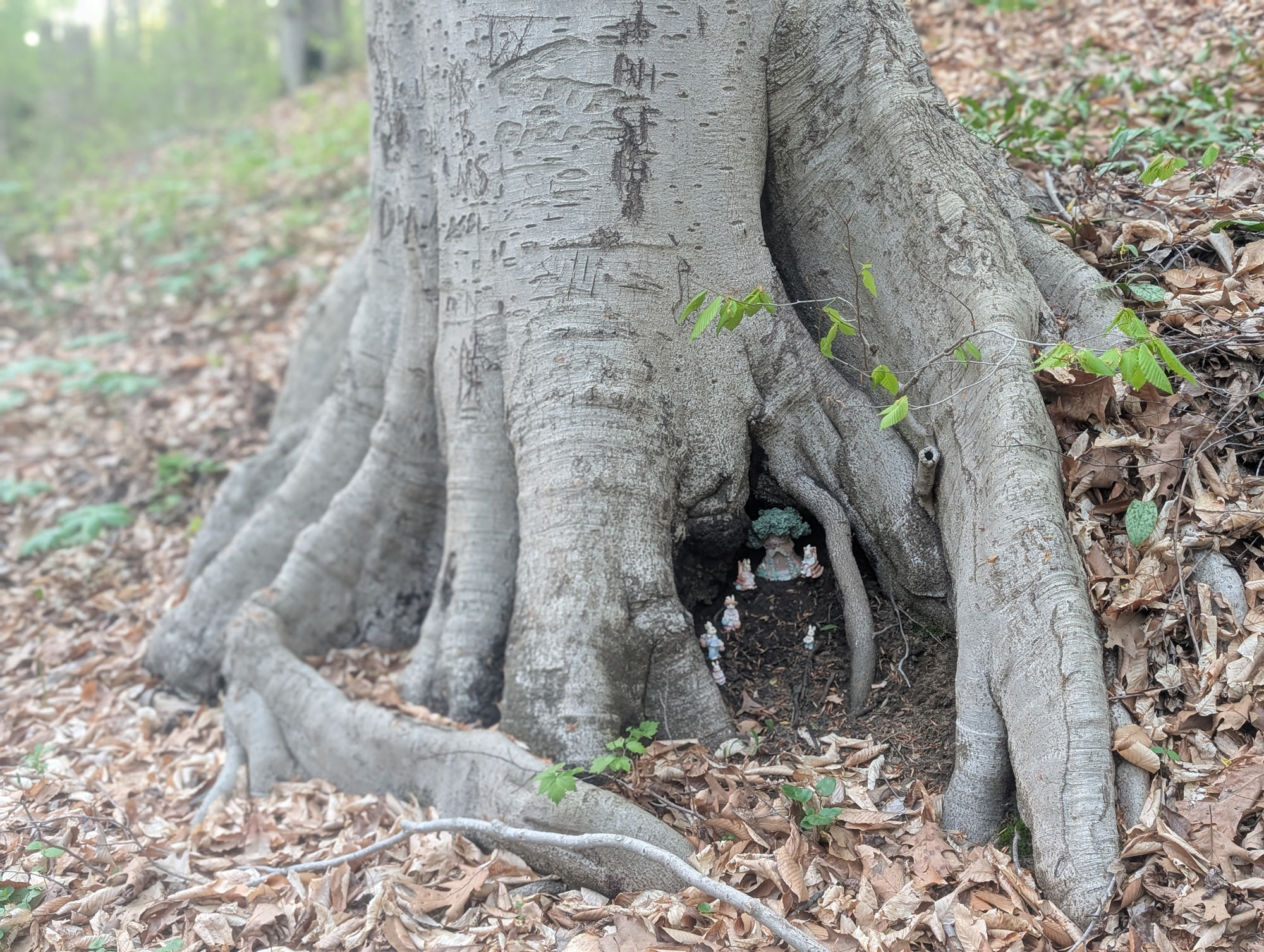 A tableau of the Easter Bunny and his family relaxing in front of their home, which apparently is a tree house, set between the roots of a large beech tree
