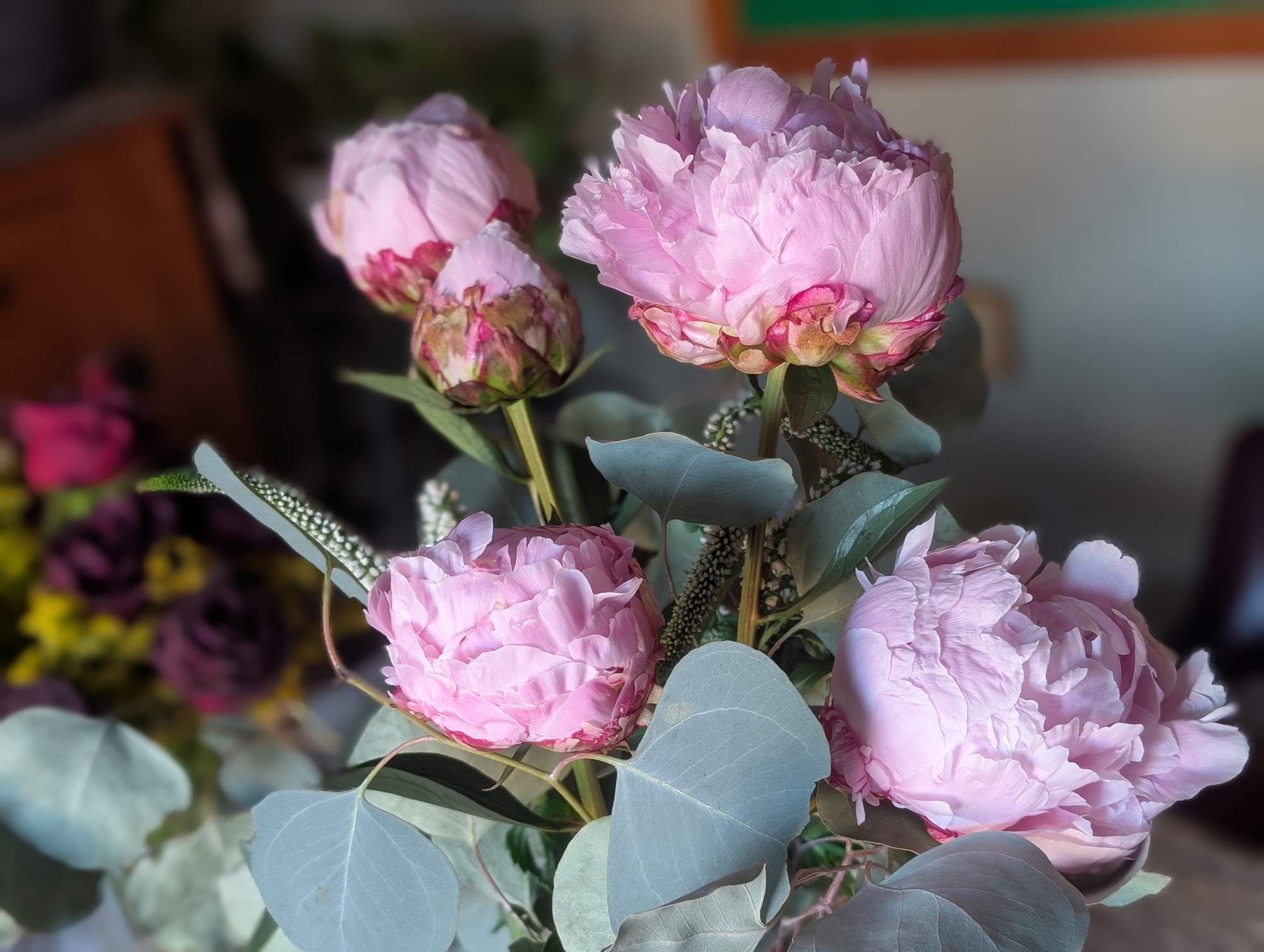 The heads of four pink peony flowers blooming while arranged in a vase