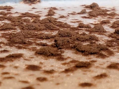 Close up of cocoa powder, appearing to be islands, on top of a sea of whipped milk (which is floating on top of a mug of coffee)