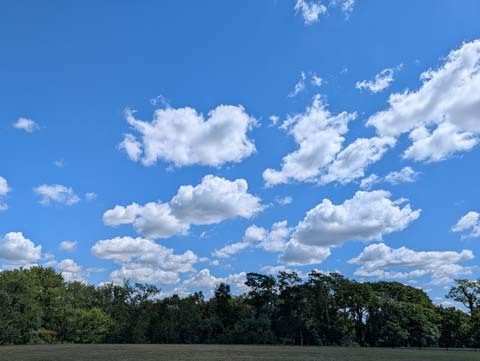 A sky filled with clouds that look like fluffy bunches of cotton