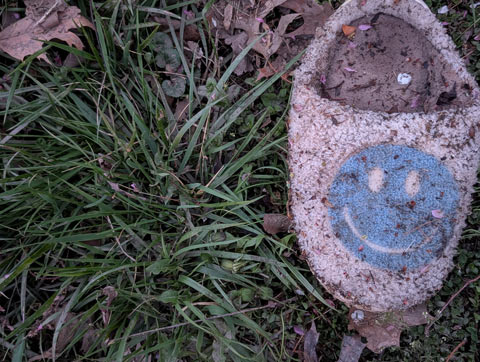 A single furry white slipper emblazoned with a blue smiley face, it is very dirty laying in the grass at the bottom of a stormwater retention pond