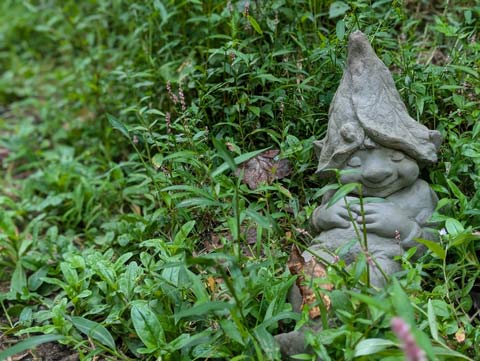 A small cement figure of a napping gnome, laying amidst a grassy hillside