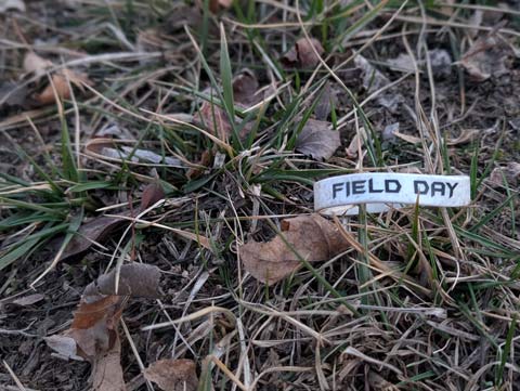 A white rubber wrist bracelet imprinted with the words 