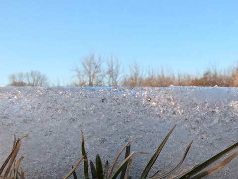 Close up of the edge of the retreating snow, revealing the Winter grass