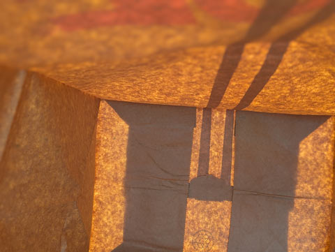 The inside of a large bag made for containing yard waste, illuminated from the outside by sunlight