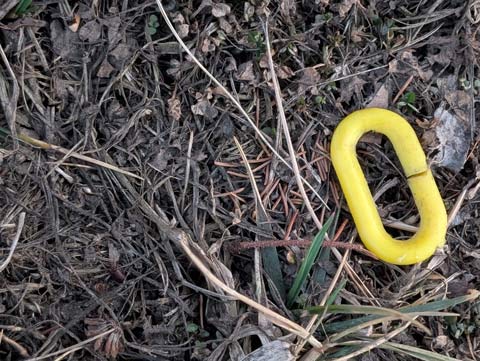 A yellow plastic chain link laying in sparse grass