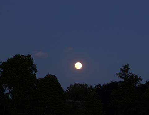 A bright full moon rising in an early evening sky