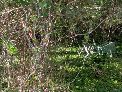 Two green office chairs discarded in the woods