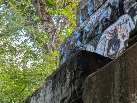 The eye of a skull painted on the side of a railroad bridge peeking over the edge of a stine ledge