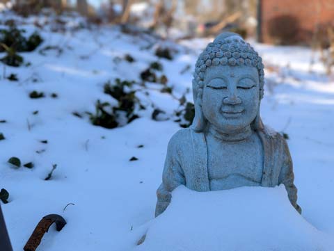 Statue of the buddha, with a serene smile on his face, with only the top half showing above the snow