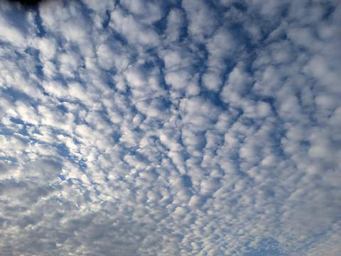 A sky dotted with clouds that resmemble cotton balls