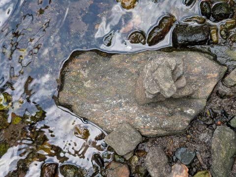 A small stack of stones (or cairn) perched on a flat rock on the water's edge of a creek
