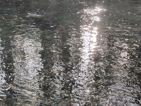 Reflections of sunlight reflecting on a swift moving stream