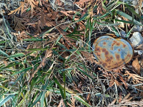A weathered and partially rusted metal heart laying in winter grass