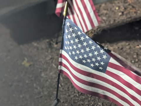 A small American flag planted in the ground bathed in harsh light